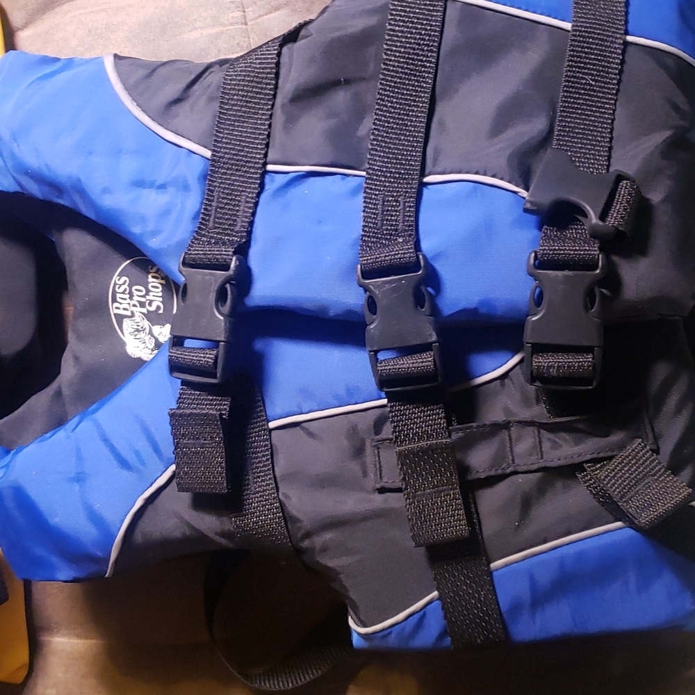 Life jacket